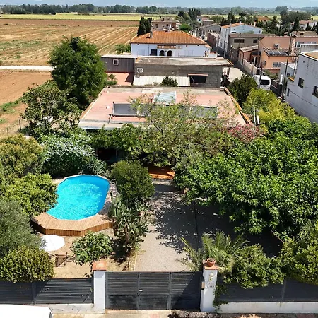 Ave De Paso By Interhome Fortiá